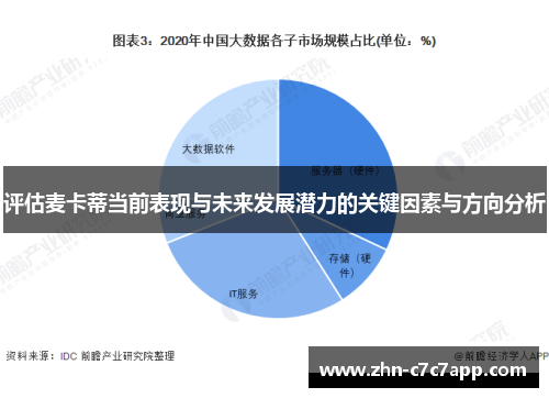 评估麦卡蒂当前表现与未来发展潜力的关键因素与方向分析 评估麦卡蒂当前表现与未来发展潜力的关键因素与方向分析