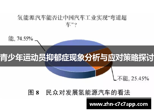青少年运动员抑郁症现象分析与应对策略探讨