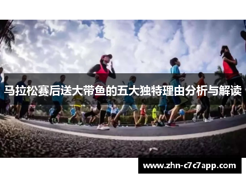 马拉松赛后送大带鱼的五大独特理由分析与解读