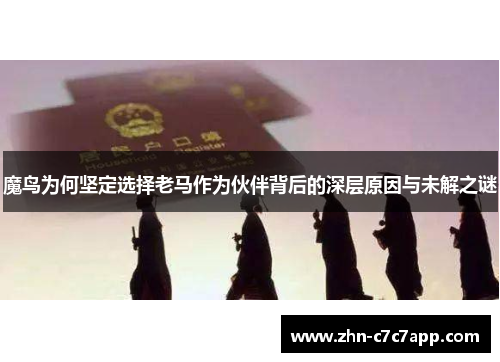 魔鸟为何坚定选择老马作为伙伴背后的深层原因与未解之谜