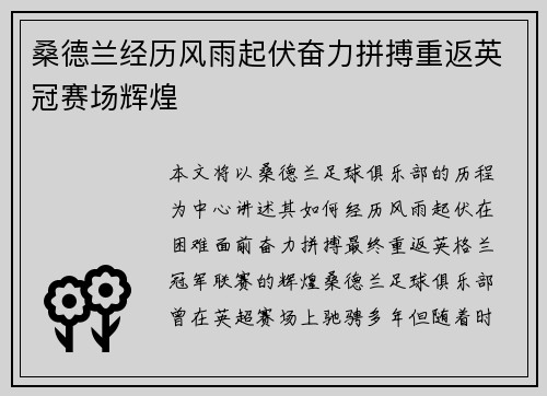 桑德兰经历风雨起伏奋力拼搏重返英冠赛场辉煌 桑德兰经历风雨起伏奋力拼搏重返英冠赛场辉煌